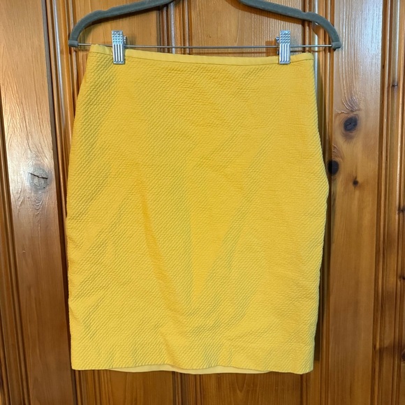 The Limited skirt - Picture 1 of 11